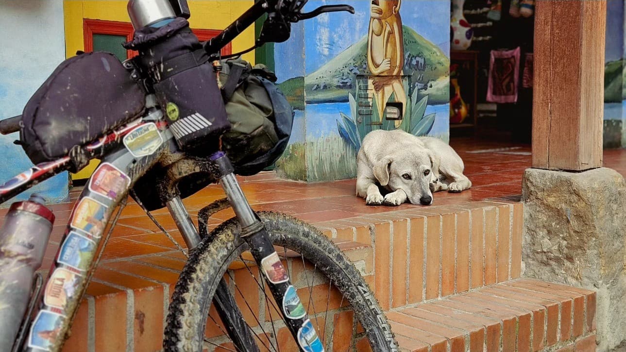 Compañero de ruta